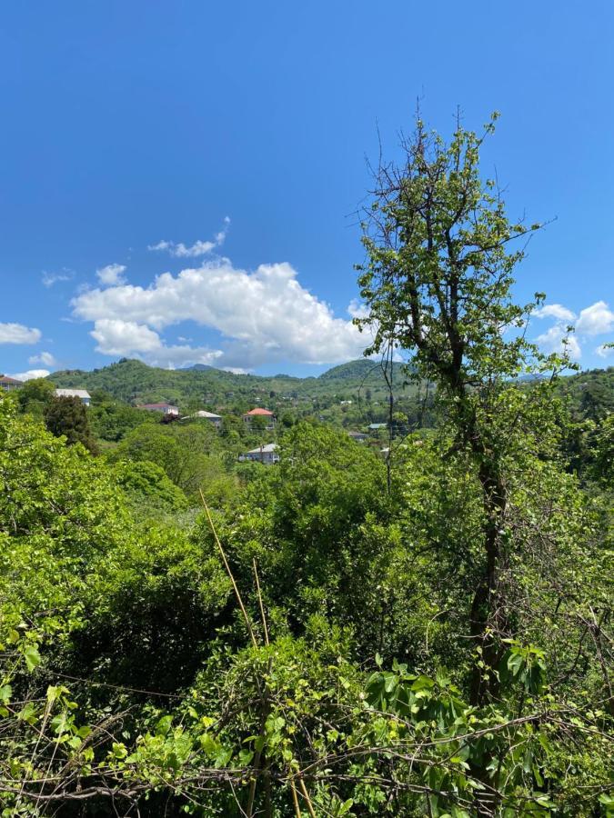 Ana House Villa Makhinjauri Buitenkant foto